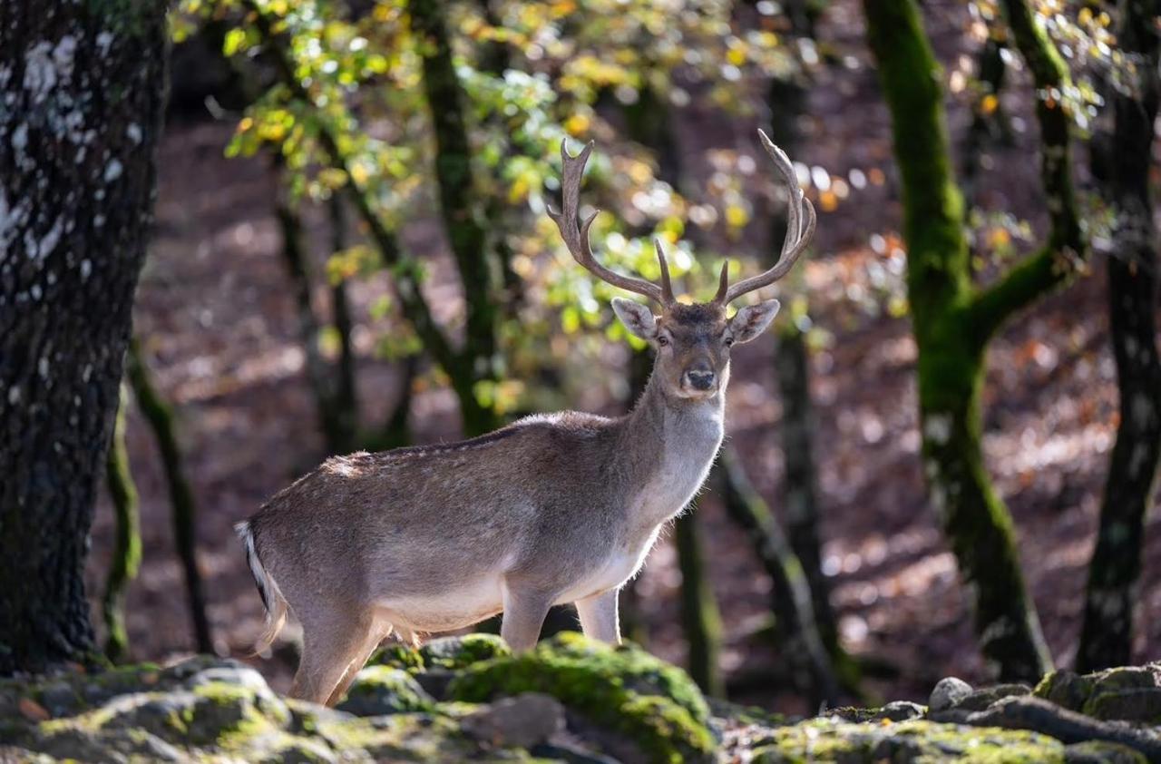 Bourazani Wild Life Resort Коніца Екстер'єр фото