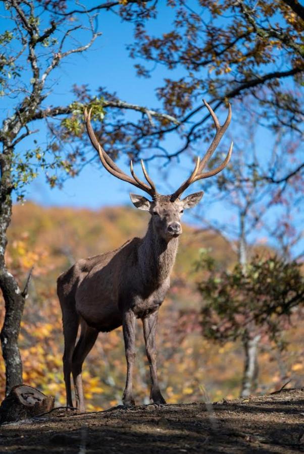 Bourazani Wild Life Resort Коніца Екстер'єр фото