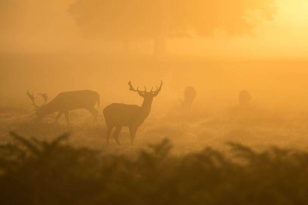 Bourazani Wild Life Resort Коніца Екстер'єр фото