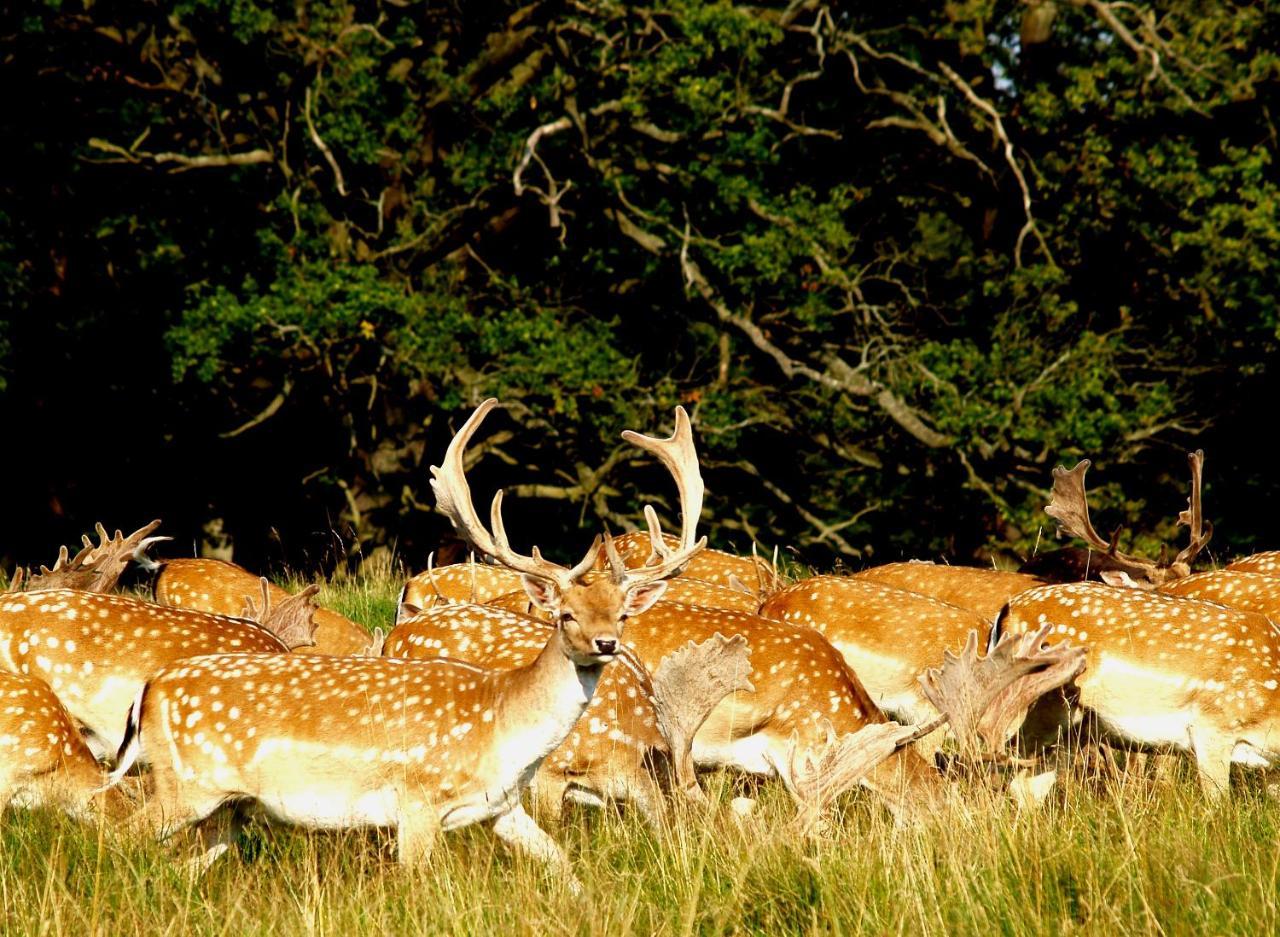 Bourazani Wild Life Resort Коніца Екстер'єр фото